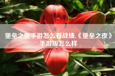堡垒之夜手游怎么看战绩,《堡垒之夜》手游版怎么样