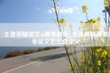 王者荣耀铭文s6赛季刺客_王者荣耀新赛季铭文怎么自定义
