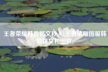 王者荣耀韩信铭文秒人(王者荣耀国服韩信铭文和出装)