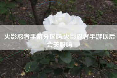 火影忍者手游分区吗,火影忍者手游以后会关服吗