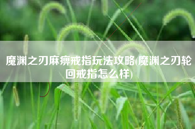 魔渊之刃麻痹戒指玩法攻略(魔渊之刃轮回戒指怎么样)