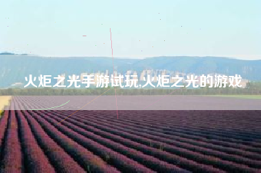 火炬之光手游试玩,火炬之光的游戏