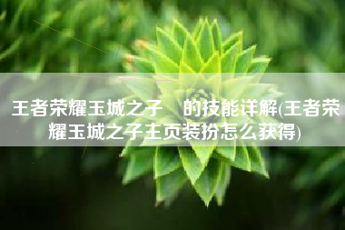 王者荣耀玉城之子暃的技能详解(王者荣耀玉城之子主页装扮怎么获得)