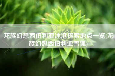 龙族幻想西伯利亚冰港探索地点一览(龙族幻想西伯利亚雪狐)