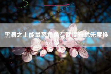 黑潮之上能量系角色专武提升优先度推荐