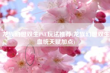 龙族幻想双生PVE玩法推荐(龙族幻想双生血统天赋加点)