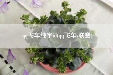 qq飞车纯字id(qq飞车s联赛)