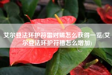 艾尔登法环护符雷对蝎怎么获得一览(艾尔登法环护符槽怎么增加)