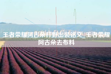 王者荣耀阿古朵打野出装铭文_王者荣耀阿古朵去布料