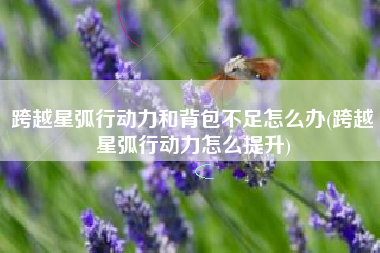 跨越星弧行动力和背包不足怎么办(跨越星弧行动力怎么提升)