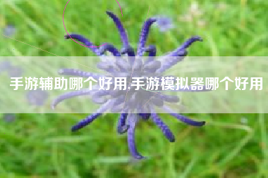 手游辅助哪个好用,手游模拟器哪个好用