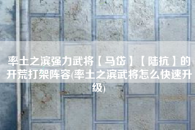 率土之滨强力武将【马岱】【陆抗】的开荒打架阵容(率土之滨武将怎么快速升级)