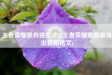 王者荣耀狼狗铭文2828(王者荣耀甄姬最强出装和铭文)
