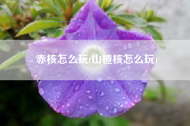赤核怎么玩(山楂核怎么玩)