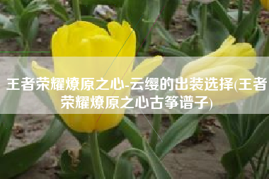 王者荣耀燎原之心-云缨的出装选择(王者荣耀燎原之心古筝谱子)
