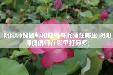 阴阳师傀儡师和他哥哥沉睡在哪里(阴阳师傀儡师在哪里打最多)