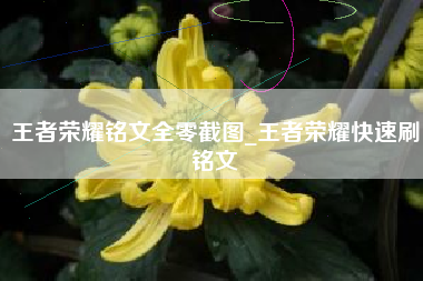 王者荣耀铭文全零截图_王者荣耀快速刷铭文