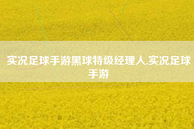 实况足球手游黑球特级经理人,实况足球手游