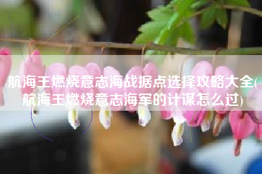 航海王燃烧意志海战据点选择攻略大全(航海王燃烧意志海军的计谋怎么过)