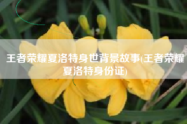 王者荣耀夏洛特身世背景故事(王者荣耀夏洛特身份证)