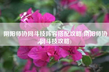 阴阳师协同斗技阵容搭配攻略(阴阳师协同斗技攻略)