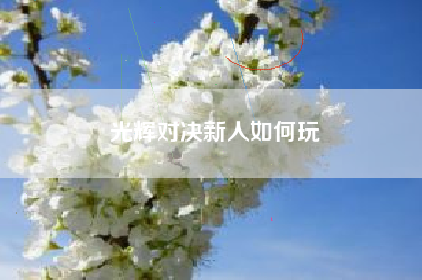 光辉对决新人如何玩