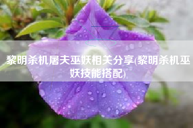 黎明杀机屠夫巫妖相关分享(黎明杀机巫妖技能搭配)