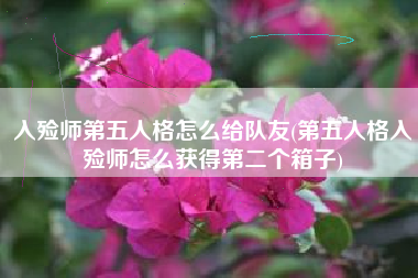 入殓师第五人格怎么给队友(第五人格入殓师怎么获得第二个箱子)