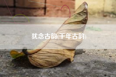 犹念古韵(千年古韵)