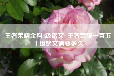 王者荣耀金科4级铭文_王者荣耀一百五十级铭文需要多久
