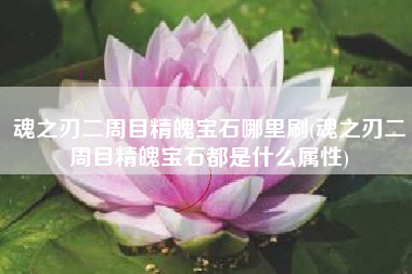 魂之刃二周目精魄宝石哪里刷(魂之刃二周目精魄宝石都是什么属性)