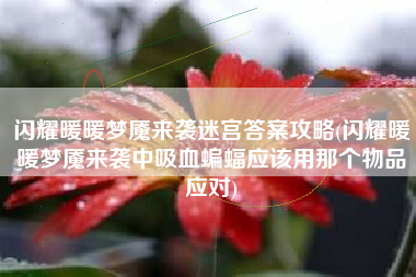 闪耀暖暖梦魇来袭迷宫答案攻略(闪耀暖暖梦魇来袭中吸血蝙蝠应该用那个物品应对)