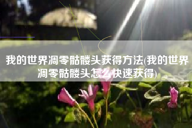 我的世界凋零骷髅头获得方法(我的世界凋零骷髅头怎么快速获得)