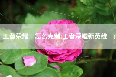 王者荣耀暃怎么克制(王者荣耀新英雄暃)