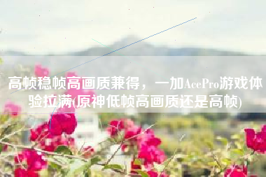 高帧稳帧高画质兼得，一加AcePro游戏体验拉满(原神低帧高画质还是高帧)