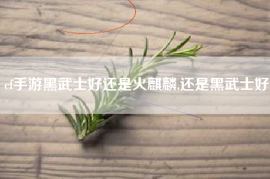 cf手游黑武士好还是火麒麟,还是黑武士好