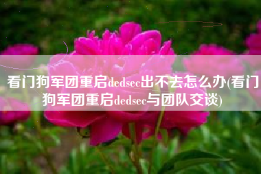 看门狗军团重启dedsec出不去怎么办(看门狗军团重启dedsec与团队交谈)
