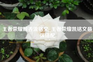 王者荣耀鲸吞流铭文_王者荣耀凯铭文最强搭配