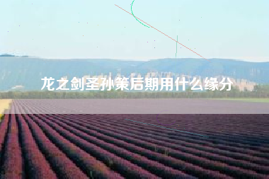 龙之剑圣孙策后期用什么缘分