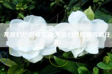龙族幻想厨师晋级(龙族幻想厨师晋级任务)