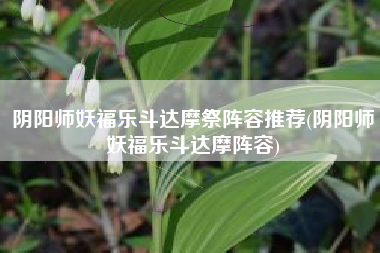 阴阳师妖福乐斗达摩祭阵容推荐(阴阳师妖福乐斗达摩阵容)