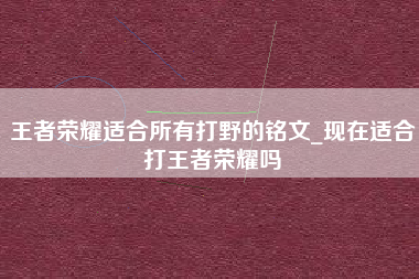 王者荣耀适合所有打野的铭文_现在适合打王者荣耀吗