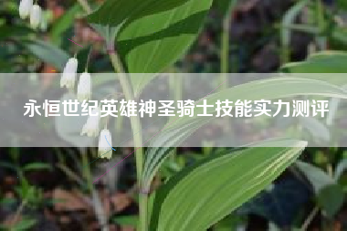 永恒世纪英雄神圣骑士技能实力测评