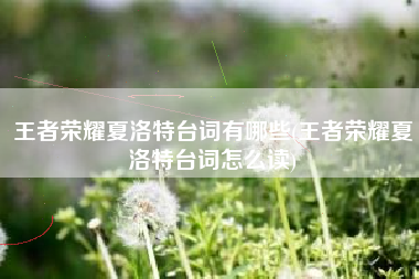 王者荣耀夏洛特台词有哪些(王者荣耀夏洛特台词怎么读)
