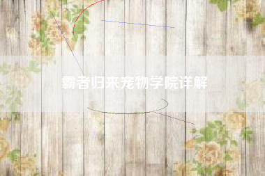霸者归来宠物学院详解
