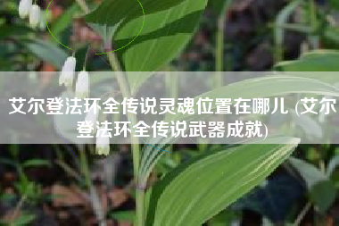 艾尔登法环全传说灵魂位置在哪儿 (艾尔登法环全传说武器成就)