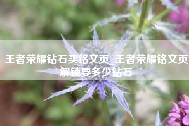 王者荣耀钻石买铭文页_王者荣耀铭文页解锁要多少钻石