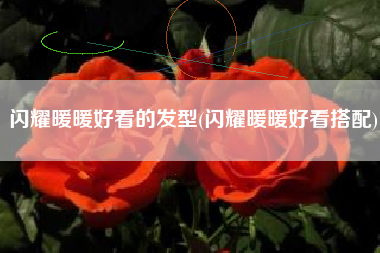 闪耀暖暖好看的发型(闪耀暖暖好看搭配)