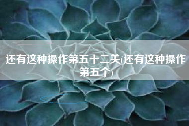 还有这种操作第五十二关(还有这种操作第五个)
