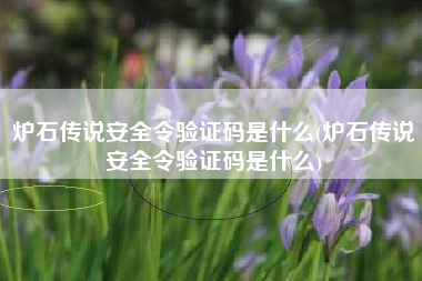 炉石传说安全令验证码是什么(炉石传说安全令验证码是什么)